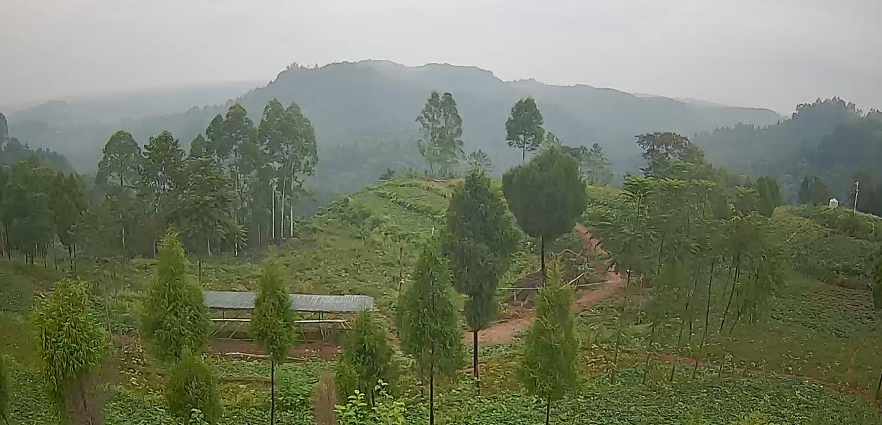 广安大山田园风景