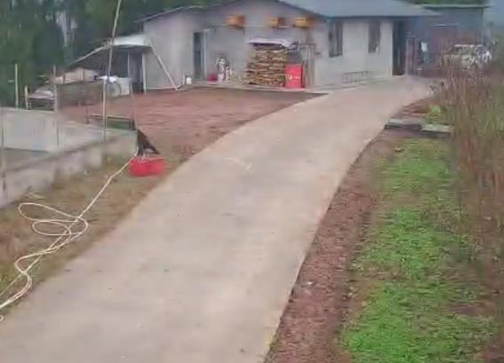 乡村道路观测点
