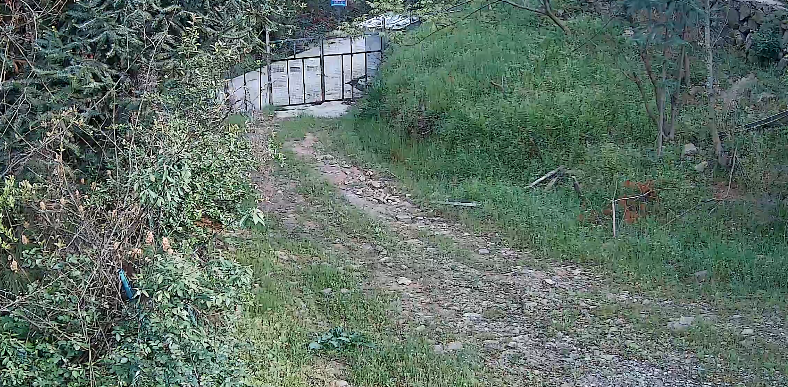 山路直播
