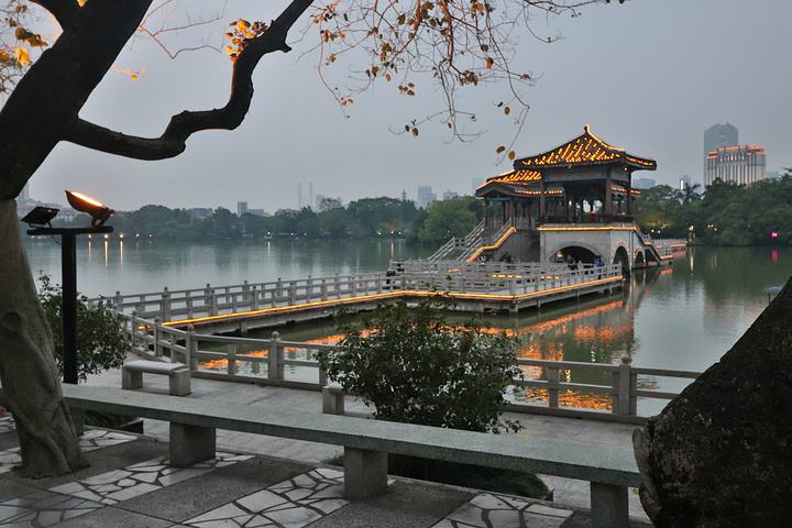 惠州文旅直播
